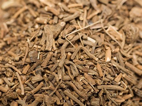 valerian torrent seeds.